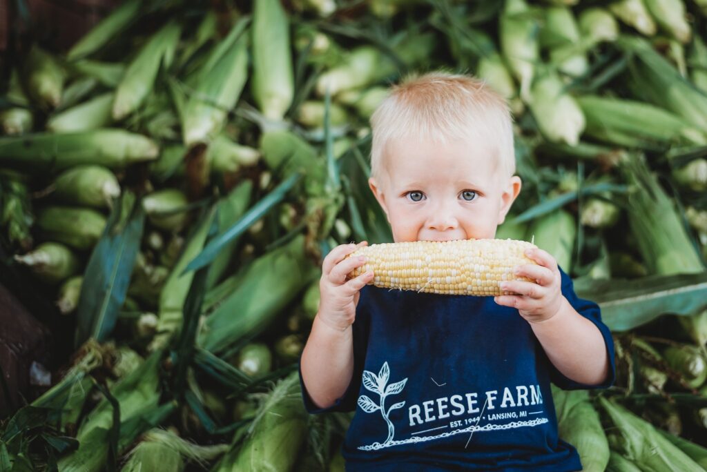 A baby eating white sweet corns 